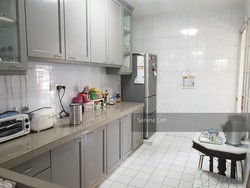 Joo Chiat Place (D15), Terrace #212683911